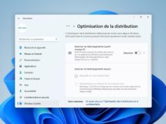 Désactiver l'optimisation de la distribution sur Windows 11