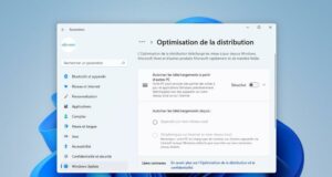 Désactiver l'optimisation de la distribution sur Windows 11