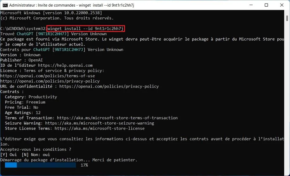 installer ChatGPT sur Windows via le terminal