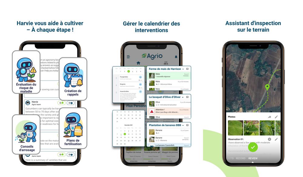 Agrio
