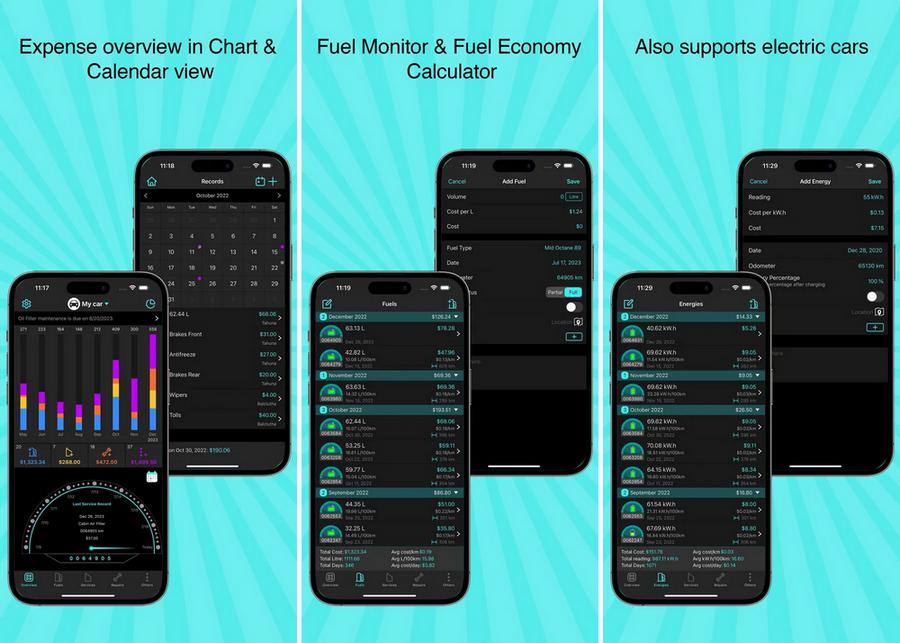 Fuel Monitor Pro