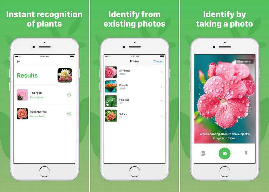 Plant Identification ++