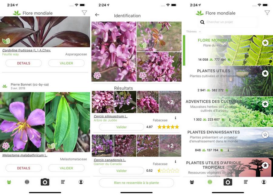 PlantNet - application pour identifier les plantes