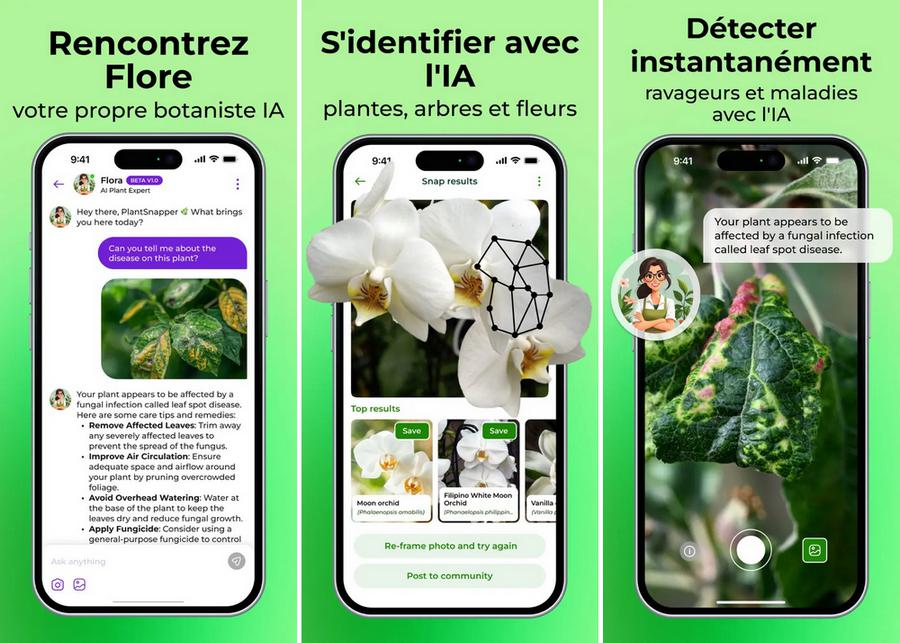 PlantSnap - application pour identifier les plantes