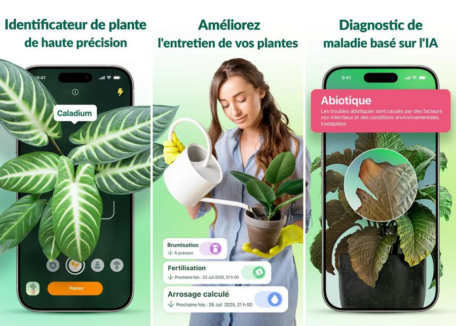 Plantum - application pour identifier les plantes