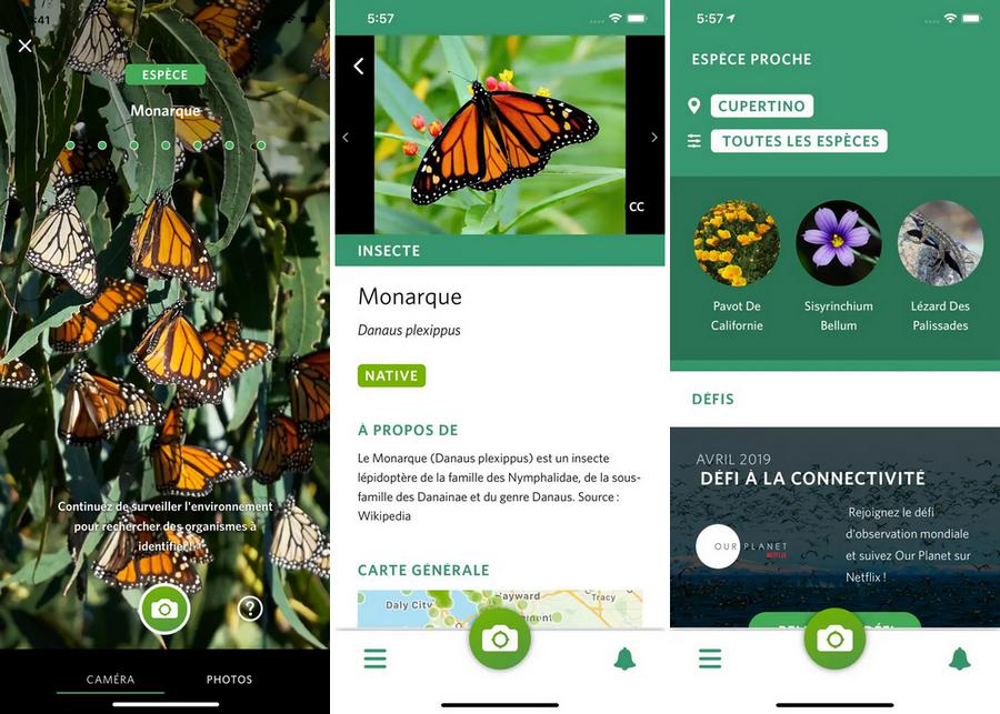 Seek par iNaturalist
