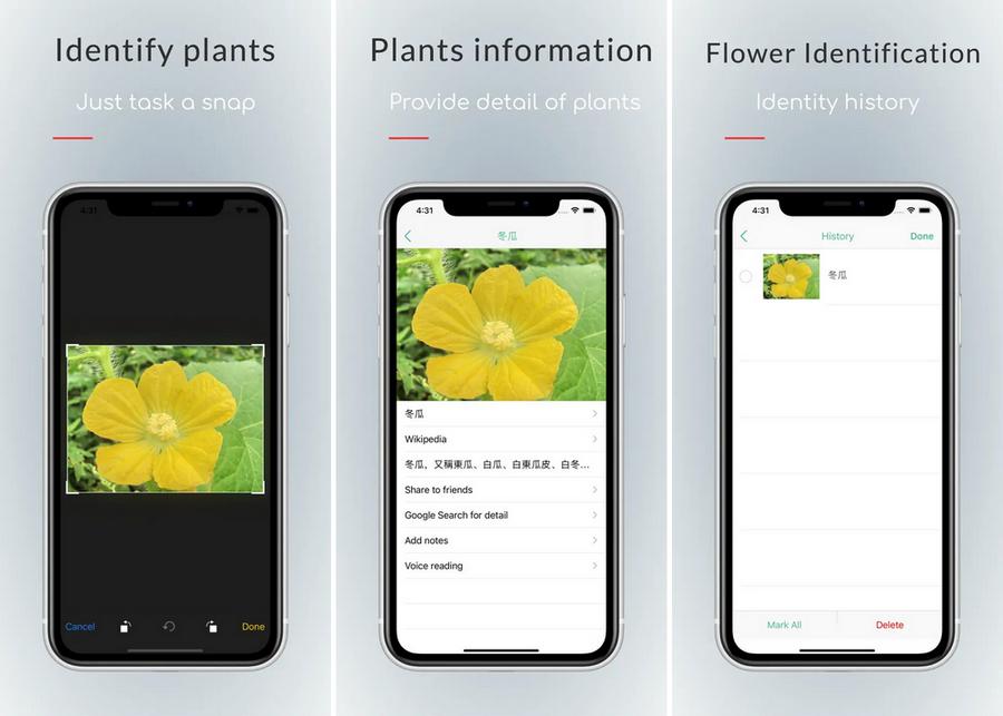 iplant