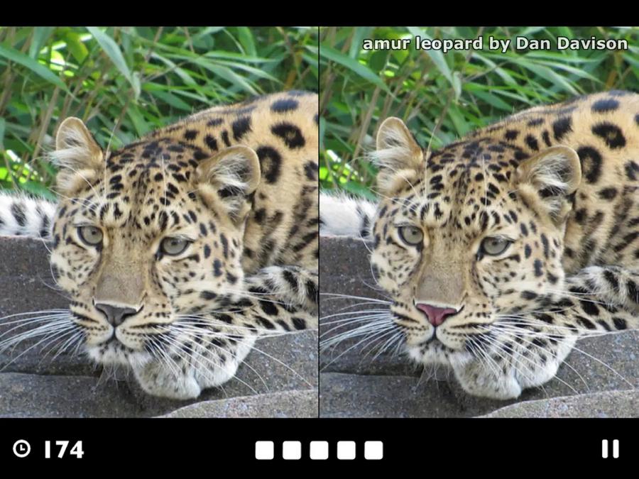Find the Difference!