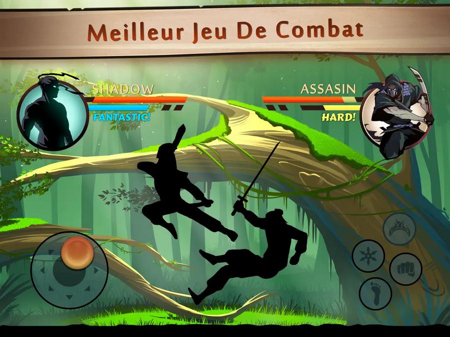 Shadow Fight 2