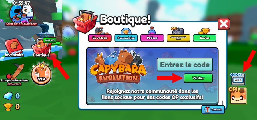 Comment utiliser les codes Capybara Evolution