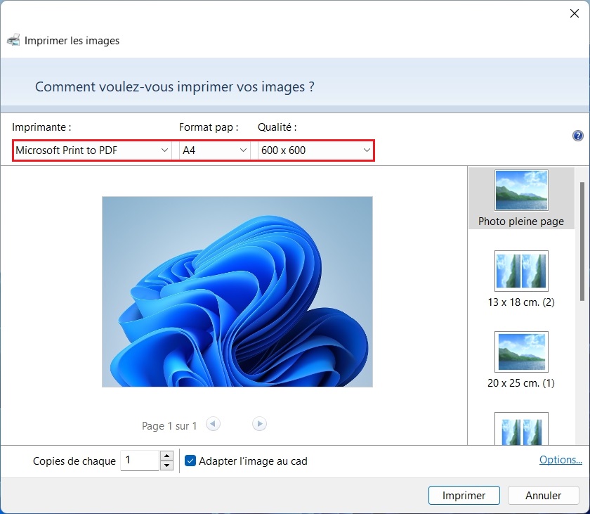 Une fenêtre Imprimer les images