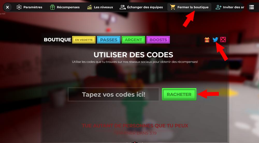 Activer les codes dans Asylum Life
