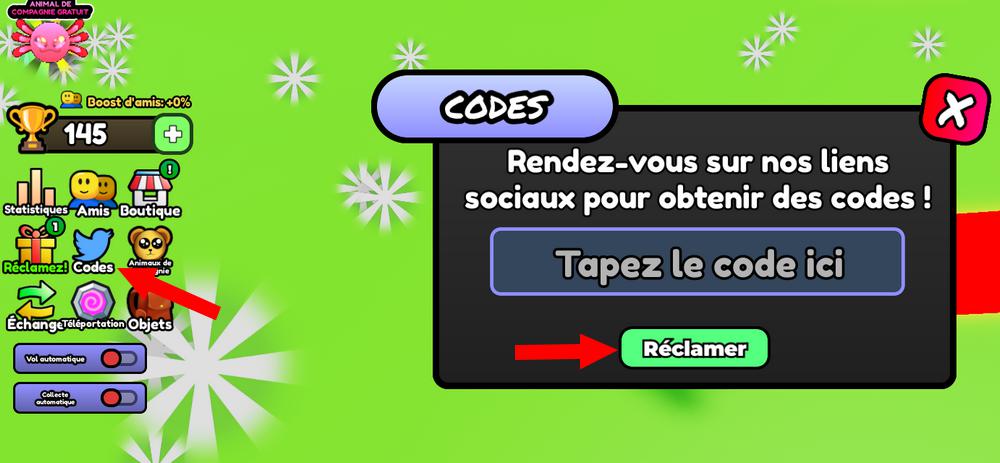 Activer les codes dans Fly to Space