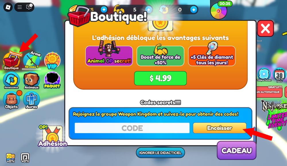 Activer les codes dans Reborn As Swordsman