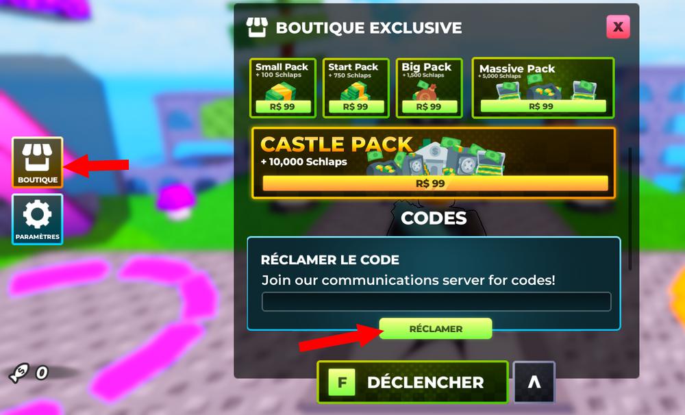 Activer les codes dans Schlap