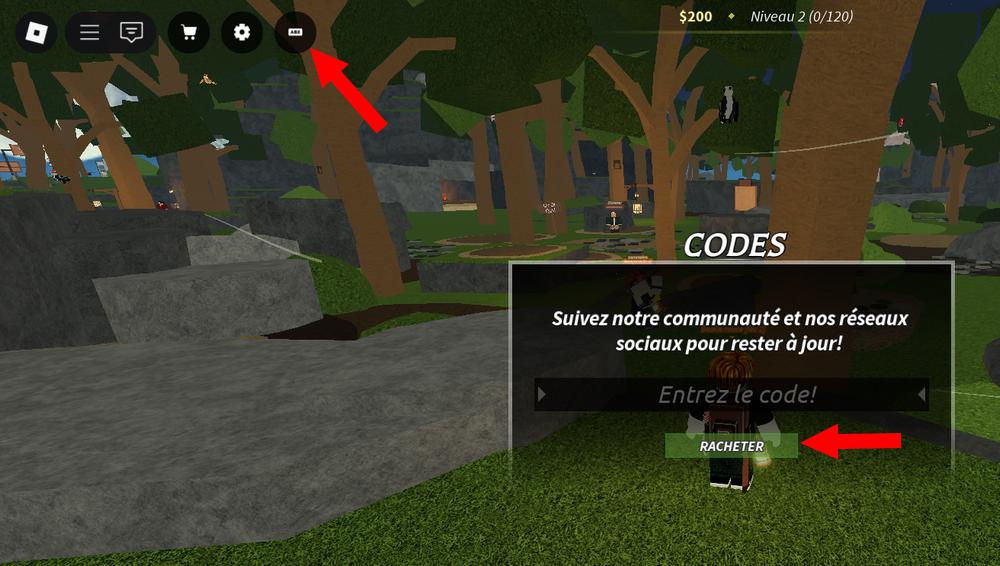 Activer les codes dans Beaks