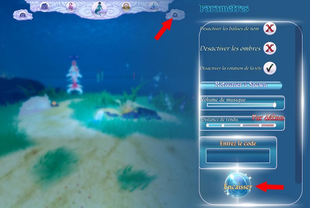 Activer les codes dans Mermaid Isle