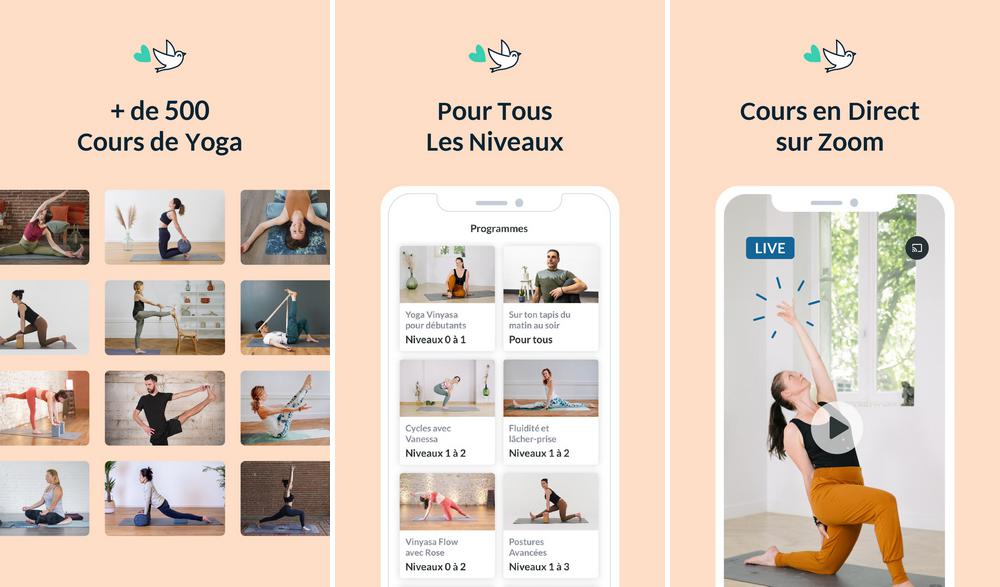 Gotta Yoga