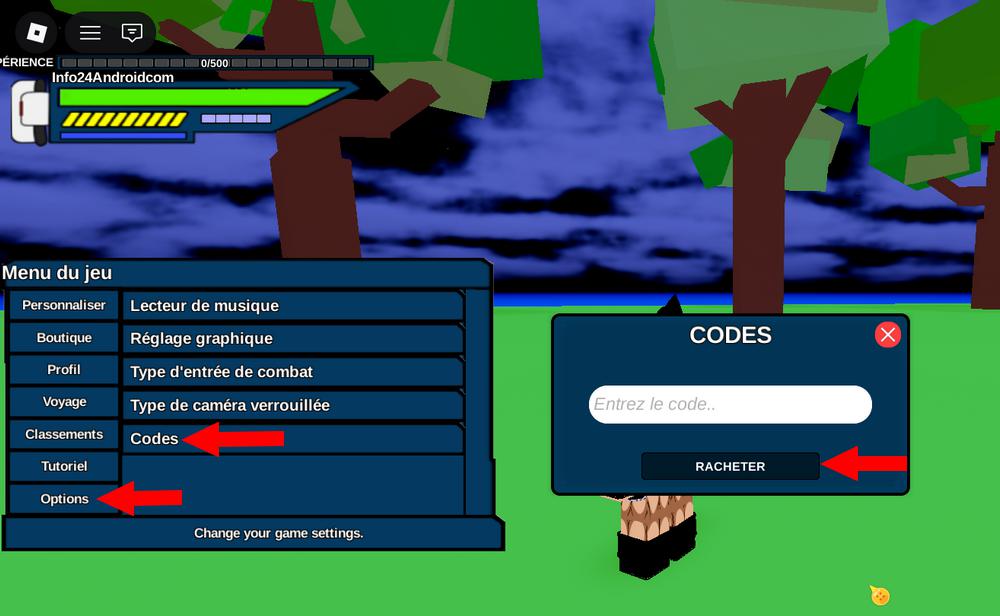 Utiliser les codes de Dragon Generations