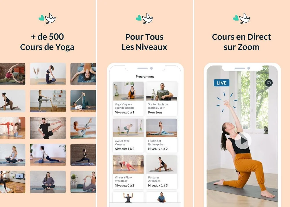 Gotta Yoga