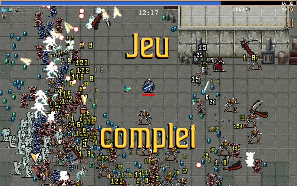 Vampire Survivors - jeu pour tablettes Android