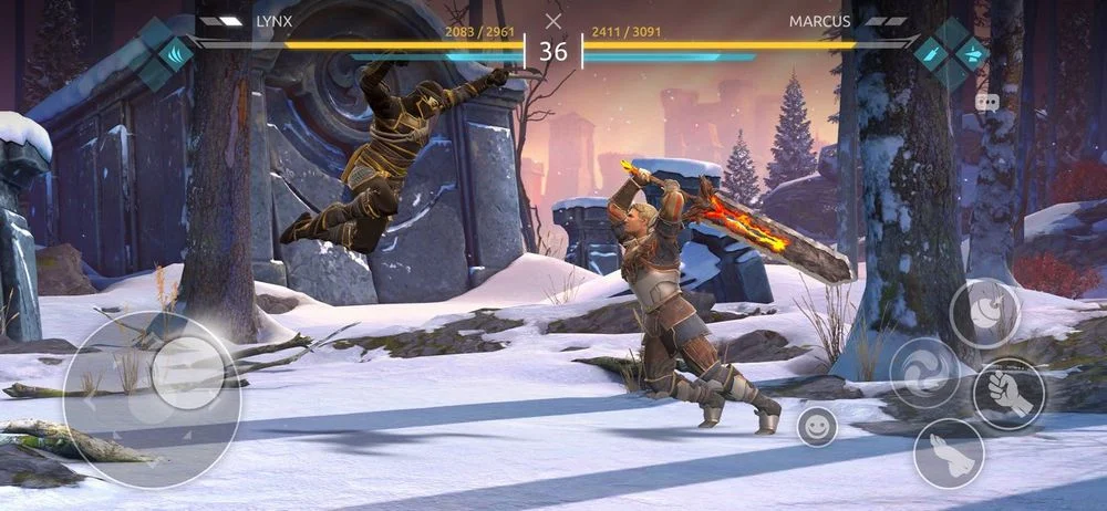 Shadow Fight 4